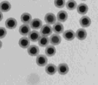 SHINERS- Gold Nanoparticles for Advanced SERS